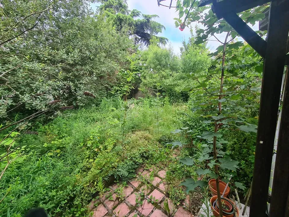 avant apres entretien jardin.jpg (3)