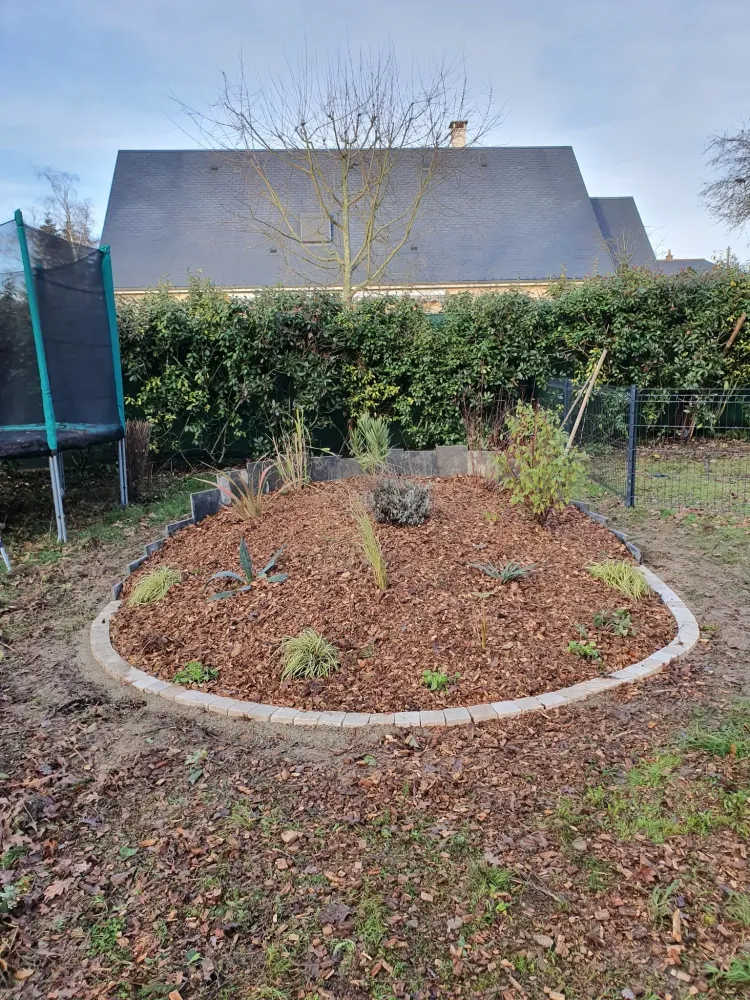 avant apres entretien jardin.jpg (6)