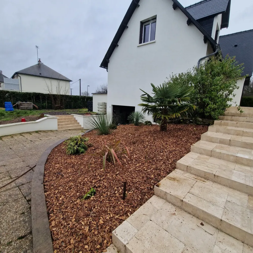 avant apres entretien jardin.jpg (9)