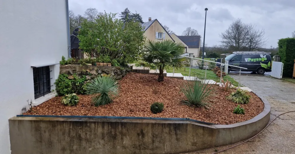 avant apres entretien jardin.jpg (8)