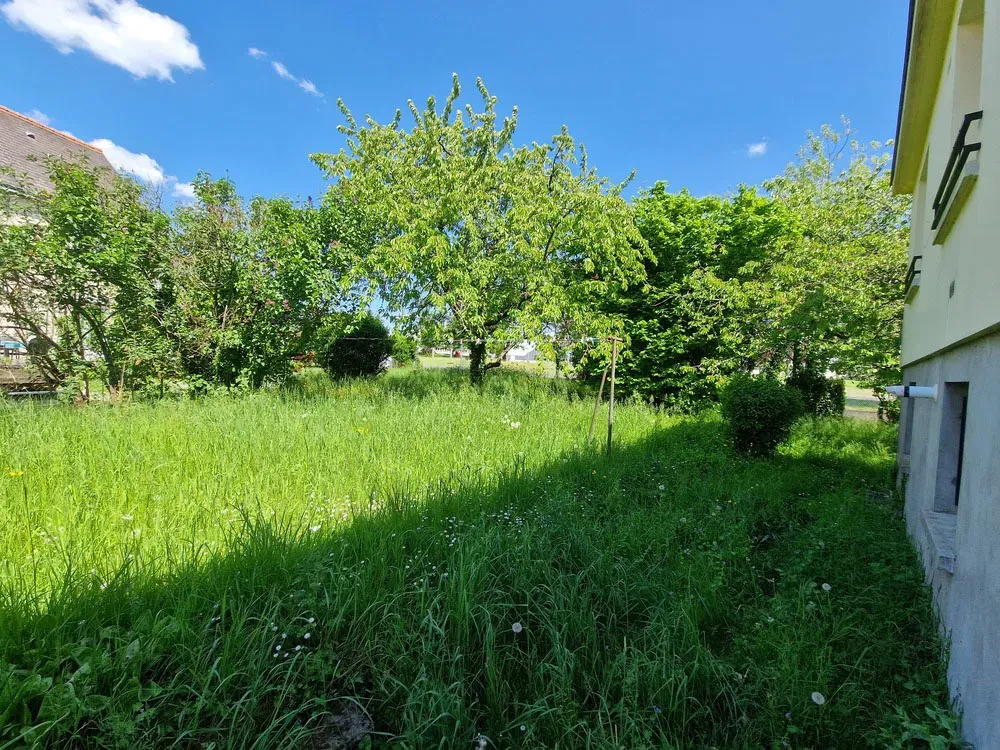 Entretien de jardin avant 1
