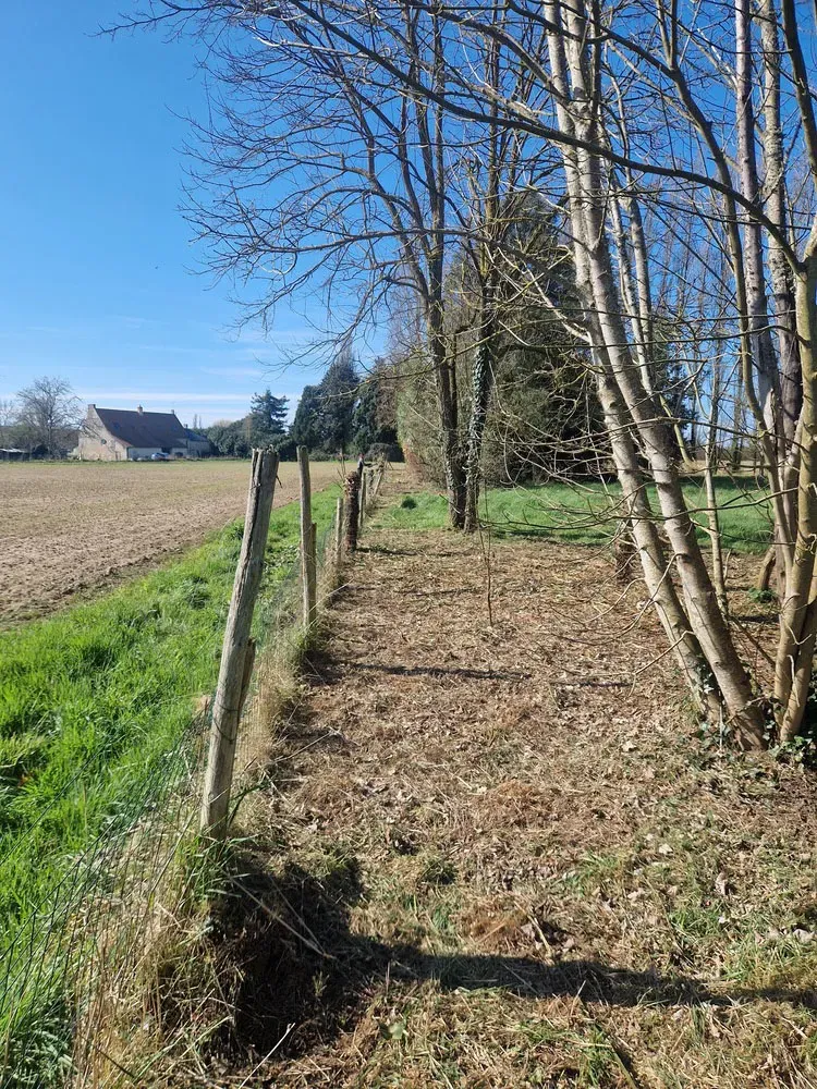 Entretien de jardin apres 2