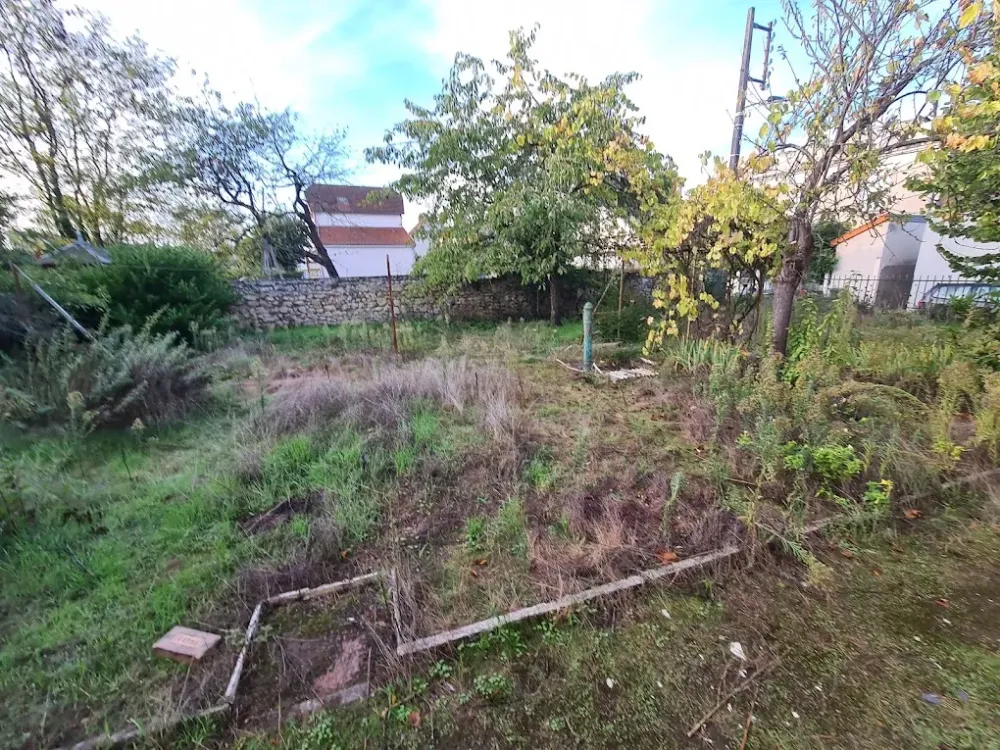 Entretien de jardin avant 3