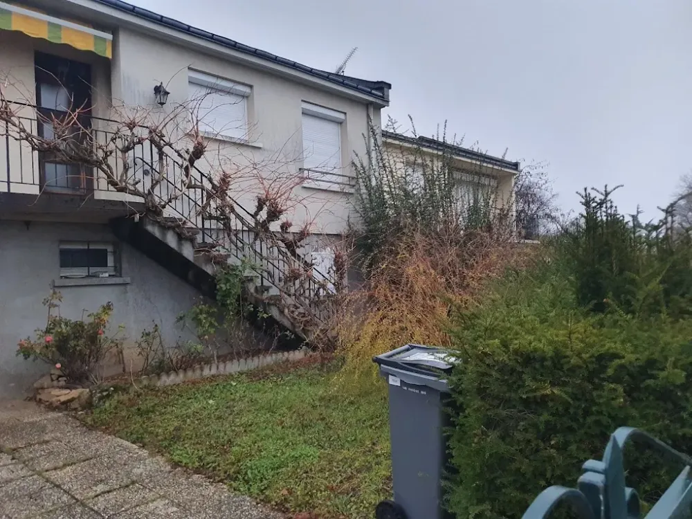 Entretien de jardin avant 4